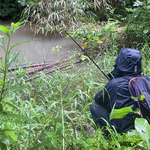 Strike Part 003 #angler #fishing #mancing #youtubers