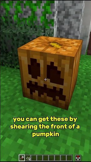 How to Grow A Pumpkin in Minecraft #minecraftsurvival