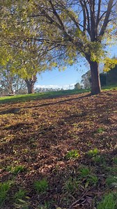 My beautiful girl | Zookeeper Chad