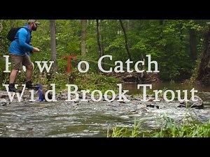 How to Catch Fish Fly Fishing