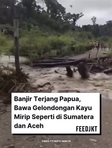 Melanie Subono on Instagram: "Selamat pagi dari PAPUA 🇮🇩❤️ Disana kayu dan pohon juga mudah sekali rontok dan hanyut sendiri ( thank you @feedjkt ) —- follow untuk detil caption yaaa #melaniesubono #katamel #diarymel #rakyattiri #indonesiadaruratpejabatwaras"