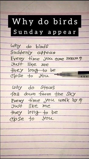 why do birds Suddenly appear song and lyrics #lyrics #songlyrics #shortvideo