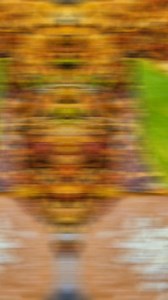 19 reactions | Restaurante Las Papaz Desayuno,Comida y Cena ☕️肋 Reservaciones, Llevar y domiiclio ☎️6121296410 Horario 7:30am a 10:30pm Ubicacion Malibat 1625 e chiapas y durango colonia Los olivos #mexico #lapazbcsur #DidiFoods #foodporn #breakfast #lapaz #laspapazdelchef | Las PaPaz | Facebook