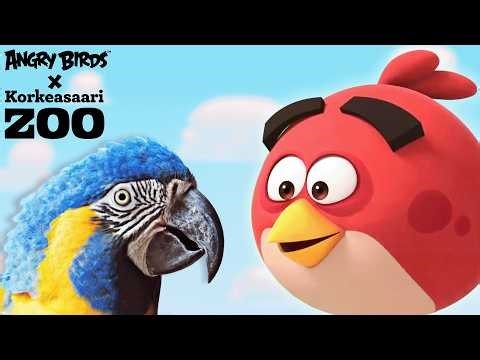 Red Meets The Blue Throated Macaw 🐦 | Angry Birds Feathery Friends at Korkeasaari Zoo
