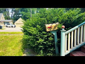 From neglected to beautiful: Transforming an elderly neighbor's overgrown yard