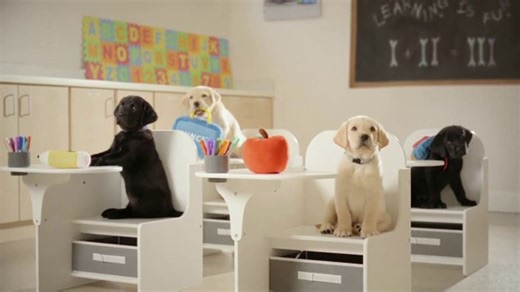 Dogs Inc TV Spot, 'Puppy Academy'