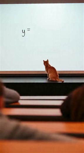 Cat's Math Class Adventure! A cat hilariously interrupts a math lecture by chasing a dot! #fblifestyle #AI Generated using Kling AI . . . (For entertainment purposes only. Consult professionals if guidance on activities is presented. No brand affiliation is implied if any are shown. If inspired by true events, creative adaptations may be included. Content may include public footage.) | Fabiosa Daily
