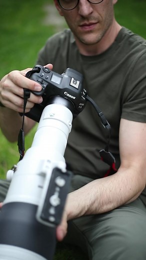 New Canon R3 and 1200mm f8 Lens: Wildlife Photography