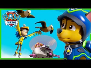 Skye and Chase save Daring Danny from a family of Eagles! - PAW Patrol UK - Cartoons for Kids