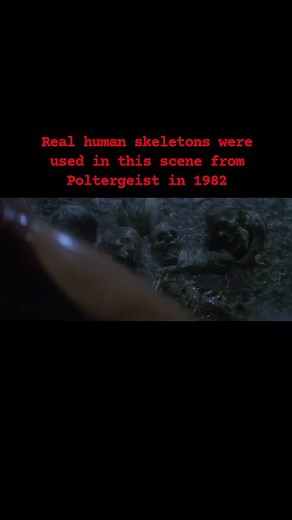 Joshua Warren on Instagram: "Real human skeletons were dressed up with latex, paint, and clothes and used in this scene from 1982's Poltergeist. The actress in the scene, JoBeth Williams, was not aware that these were real human skeletons. In an interview, Williams said: “I would have to go into this huge tank with these skeletons — which, by the way, I thought were plastic, but later found out they were real skeletons. It was a real nightmare.” 🎃 . .. . .. . #poltergeist #80s #1980s #80