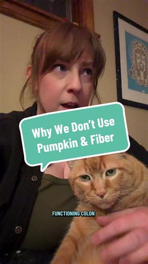 Pumpkin Puree and Megacolon Cats: What You Should Know