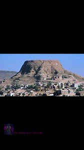 237K views · 8.6K reactions | Do You Believe In Giant Trees 勞⁉️...