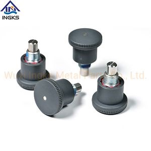 [Hot Item] Stainless Steel Pin Turning Mini Indexing Plunger Screw Plunger with Steel Body