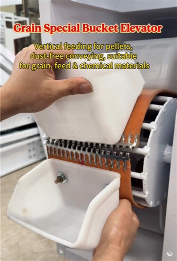 Grain Bucket Elevator — Dust-Free Vertical Pellet Feeding (Packing Lines)