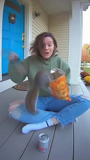 When a simple snack break turns into a wild squirrel showdown! 🌰🐿️ #SquirrelDrama #SnackAttack #FunnyMoments #UnexpectedReactions #ViralVideo #DoorbellCam #PetAntics | Doom Scroll Videos