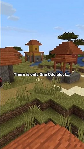 Level 27… Nobody Finds This Odd Block 😳 #minecraft