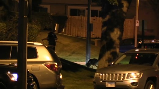 Police looking for 3 suspects after shots fired during possible Hoffman Estates home invasion