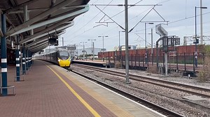 Danger cat in action at Rugby station this morning… | The Rugby Advertiser