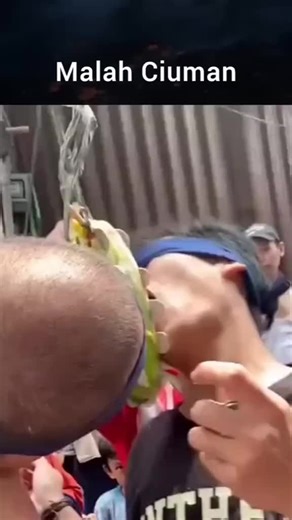 #fyp #lombamakankoin#semarakharikemenangan#fyp #damailahindonesiaku#merdeka