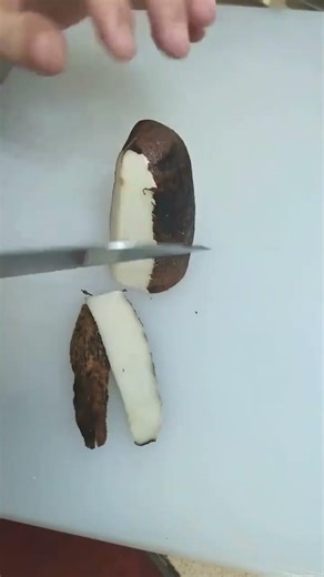 IMD 11032112883 mini rotary tillage and ridging all-in one short view #travel#beach #flowers