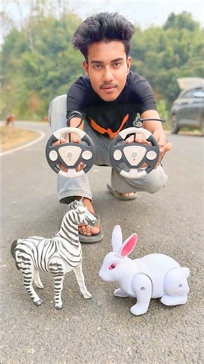 Remote Control Rabbit 🐇 And Zebra 🦓 Unboxing