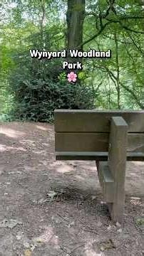 This FREE Woodland Park Blew Me Away! 🌳