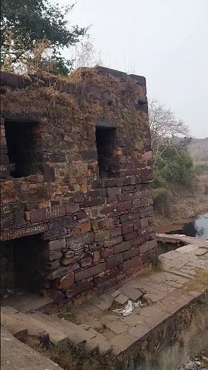 Exploring Ranthambore Fort | Amazing Views & History