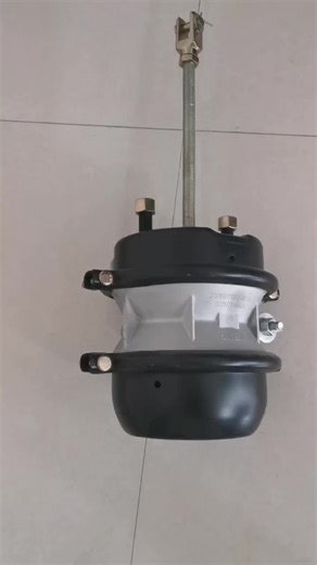 T30/30 Steel Air Brake Chamber New Condition Spring Brake Chamber for Trailers