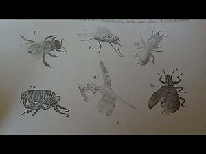 Biology form 3 Quick revision Questions and Answers 😍😍