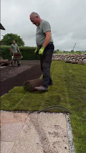 Rollrasen verlegt #gartenbau