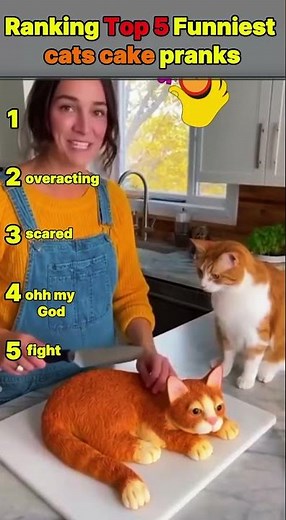 Top 5 Funniest Cat Cake Pranks #funnycats #cat #catcompilation #viralcats #aicats #shorts