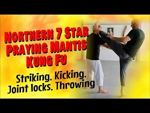 PRAYING MANTIS KUNG FU | JOINT LOCKS, KICKS, STRIKES, THROWS