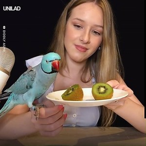978K views · 7.2K reactions | Turn up the sound and enjoy a bird eating exotic fruits ASMR! 列 | UNILAD | Facebook