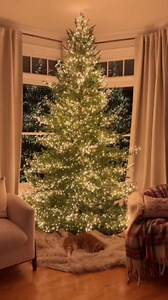 Outdoor Fairy Lights Battery Operated,10 Feet100LED Green Copper Wire Cluster Lights with Timer, Twinkle Firecracker Mini String Light, for Christmas Tree Wreath Wedding,Multicolor