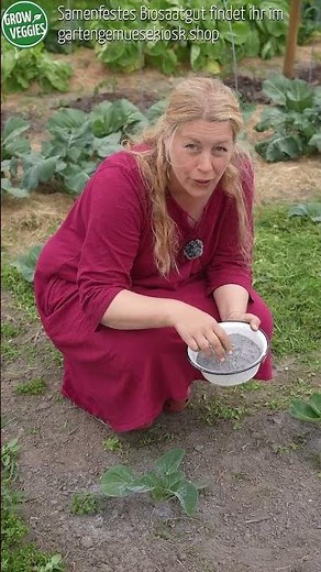 Erdflöhe bekämpfen - Garten Tipp