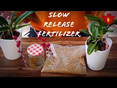 Slow Release Fertilizer with Orchids | How & why I use it, results & more!