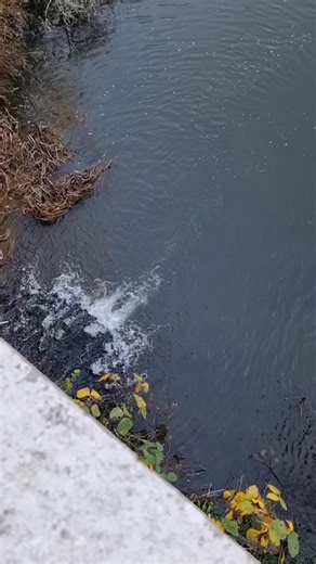 6K views · 111 reactions | A few moments captured from a recent wander around the Stackpole Estate, peaceful, quiet, and beautifully tranquil. Truly one of the best days ❤️ #lovelife #neverstopexploring #makingmemories #beauty #freedom #awesome #walking #wales #stunningscenery | Hidden Pembrokeshire - Gareth Davies Photography | Facebook