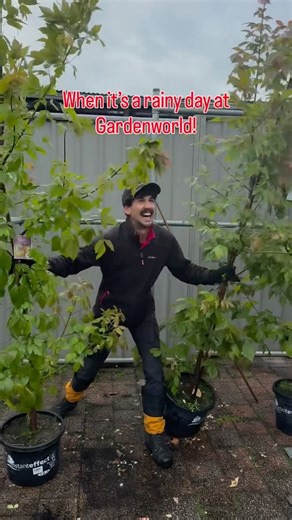 Rainy day at Gardenworld? We’re still having a blast! ☔️ The plants are partying, along with the staff. We’re open every single day, rain, shine, and everything in between. Come wander, shop, and soak up that fresh Melbourne nursery magic! | Gardenworld