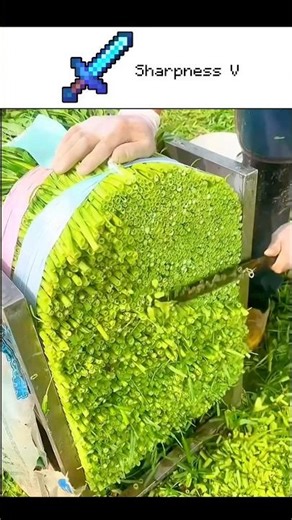 Minecraft enchantments in real life.🗡️📄 #minecraft #minecraftshorts