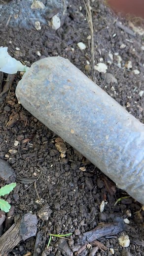 22K views · 251 reactions | Comment connecter la nouvelle nutrition de 3L aux Pods? | Culture des Morilles | Facebook