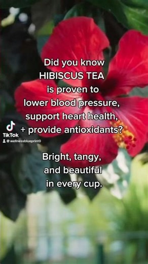 What Happens When You Drink Hibiscus Tea? 🌺