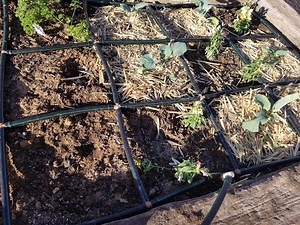 DIY Garden Grid Irrigation