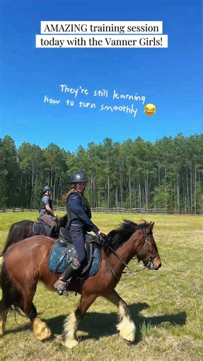 So much progress already!! #gypsyvanner #horsetraining #horses #horsefarm #farmlife