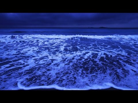 Perfect Ocean Sounds 🏝️ Relax by the Shore | Natural Sleep Therapy