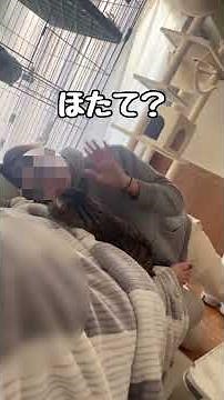 It was Hotate, the former boss cat who mistook his owner for another.