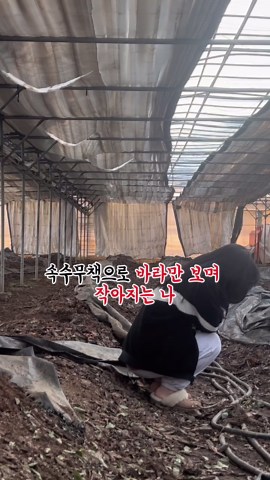 2024년 11월 말, 20대 여성 농업인인 저는 가족들과 함께 하루아침에 농장의 전부를 잃었습니다. 이유는 폭설이었어요. 생명 같던 하우스가 한순간에 무너져 내렸습니다. 그냥 비닐하우스가 아니었어요. 부모님과 함께 지켜온 생계였고, 제가 청춘을 다 바쳐 키워온 공간이었습니다. 기술자를 불러 견적을 받아보니 하우스만 다시 짓는 데 3억. 근데 말이 3억이지, 안에 들어간 시설까지 다시 맞추려면 전체 복구 비용은 10억이 훌쩍 넘는 상황이었습니다. 그 말을 듣는 순간 진짜 눈앞이 깜깜했어요. 일주일 동안 밥도 제대로 못 먹었고, 저희 가족이 지금까지 버텨온 시간이 전부 무너진 것 같았습니다. 근데 여기서 멈추면 정말 끝이잖아요. 그래서 저희는 다시 일어나기로 했습니다. 무너진 농장이 아니라, 다시 살아나는 농장으로. 푸른삶은 다시 시작합니다🙏🏻 함께 응원해주세요 💓 #농업인#청년농업인#폭설#자연재해#여성농업인