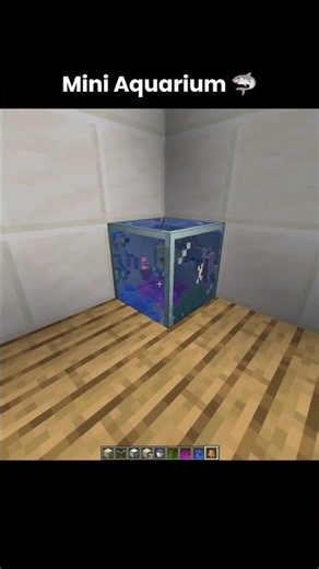 crazy fish aquarium..🐟🐠🤯