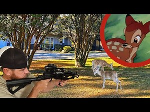 Was this Urban Deer Hunt Unethical