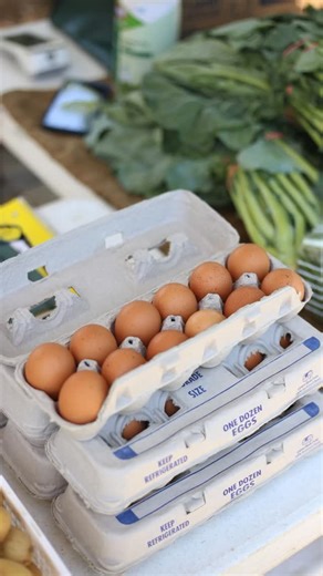 Guess what? The Fairhope Farmers Market is BACK this Thursday from 2–6 PM behind the library! 🍅🎉 Come snag some fresh finds, see friendly faces, and shop local all fall long! 🔗 click the link in our bio for more information! | City of Fairhope - Municipal Government