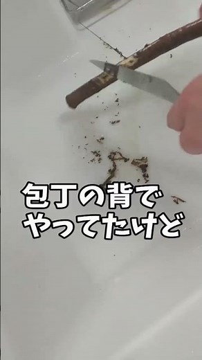 捨てないで！食パンの袋を留めるヤツが調理に便利！